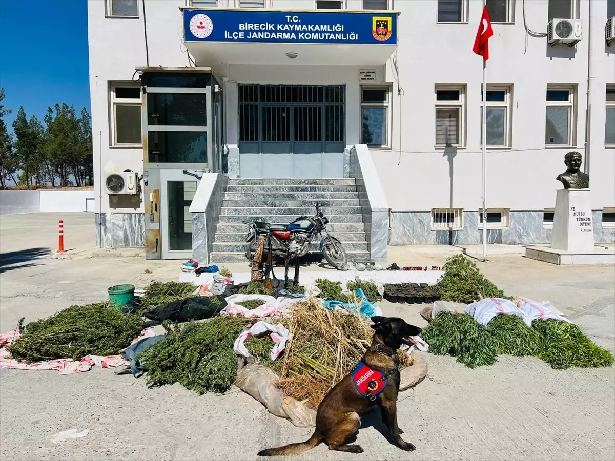 Birecik’te Uyuşturucu Operasyonu: 3 Gözaltı