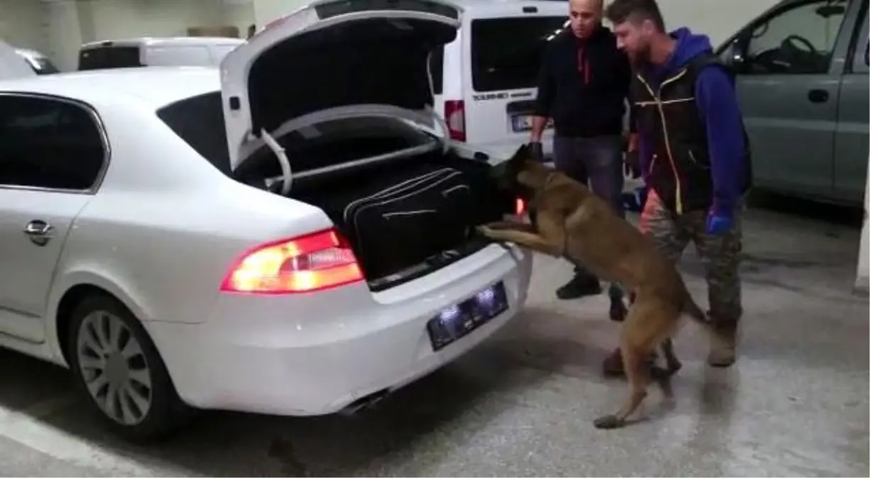 Bolu’da Kaçakçılık Operasyonları: 6 Şüpheli Yakalandı