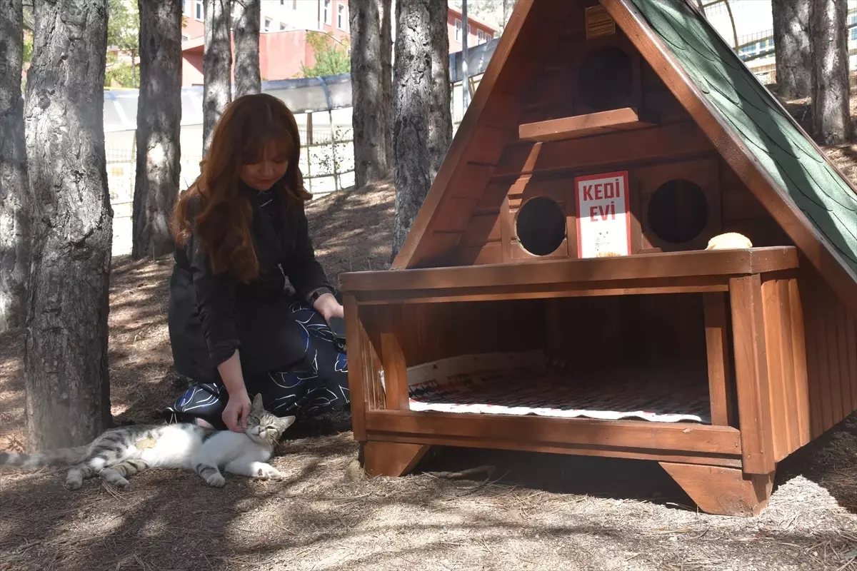 Gümüşhane Üniversitesi’nde Kedi Evleri