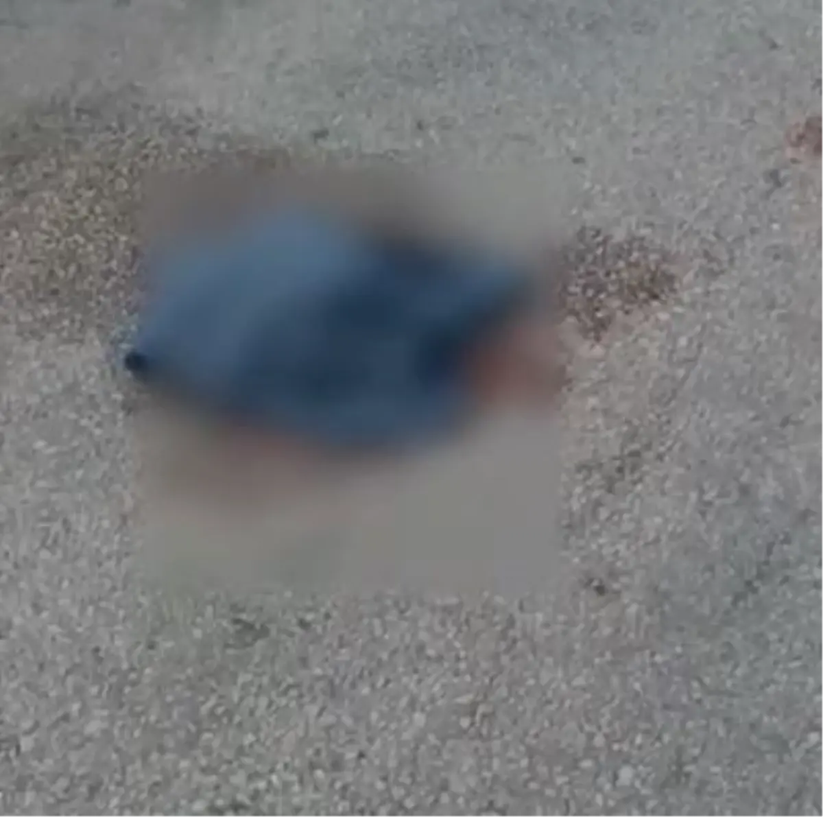 Traktörle Çarpışan Motosiklet Sürücüsü Hayatını Kaybetti