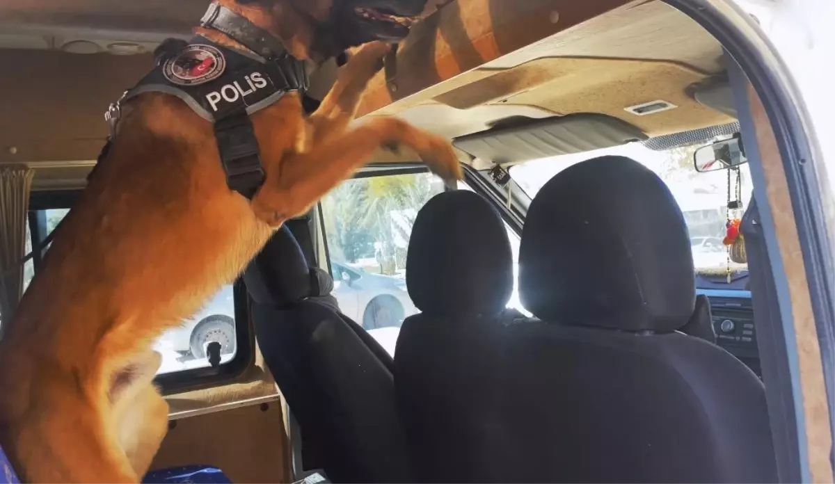 Van’da Uyuşturucu Operasyonu