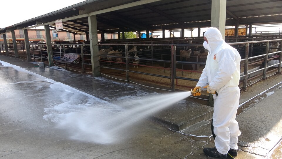 Adana Çiftçiler Birliği: Şap mağduru üreticiye acil destek gerekiyor
