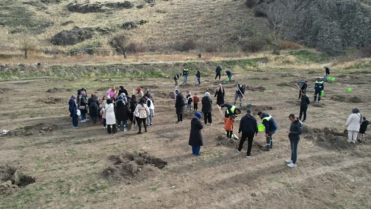 Çubuk’ta Fidan Dikim Etkinliği