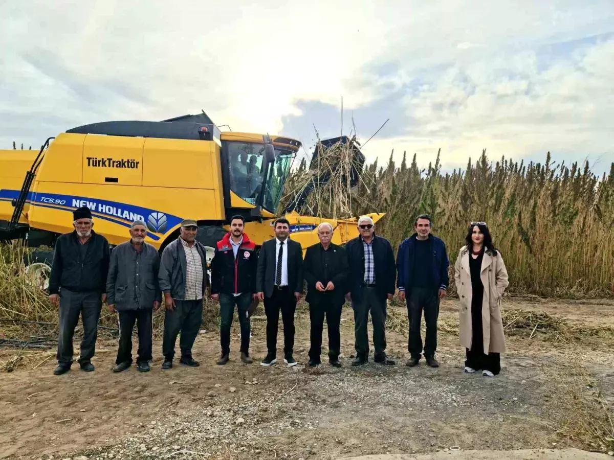Konya’da Endüstriyel Kenevir Hasadına Başlandı