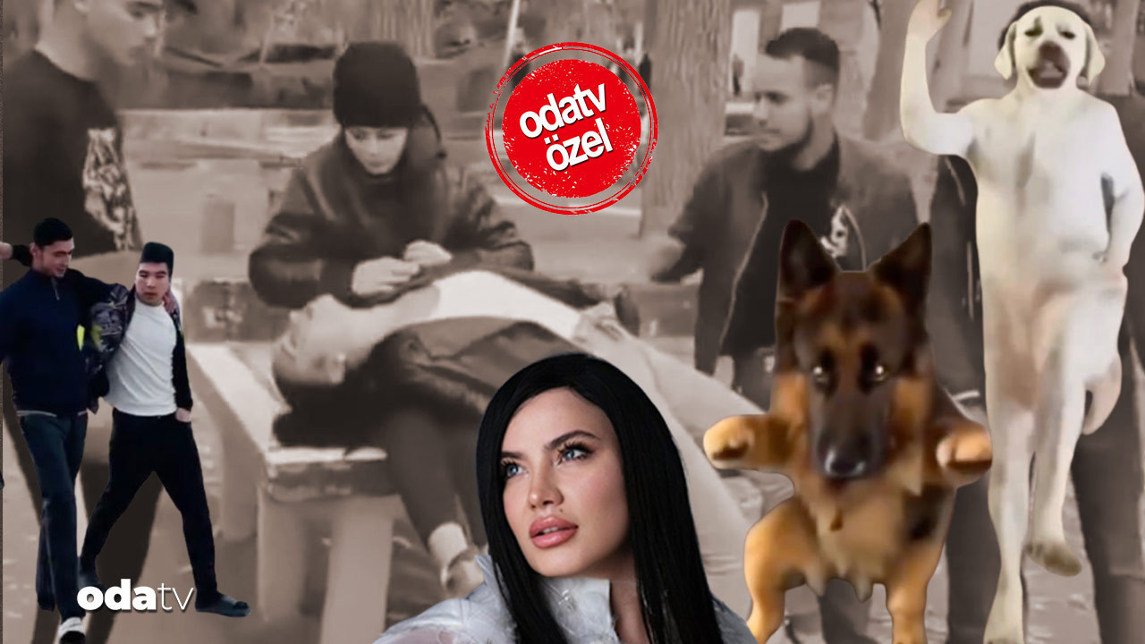 Dünyada milyonlar izliyor, yıldızı Türk çıktı… Beyin çürümesinin geldiği son nokta