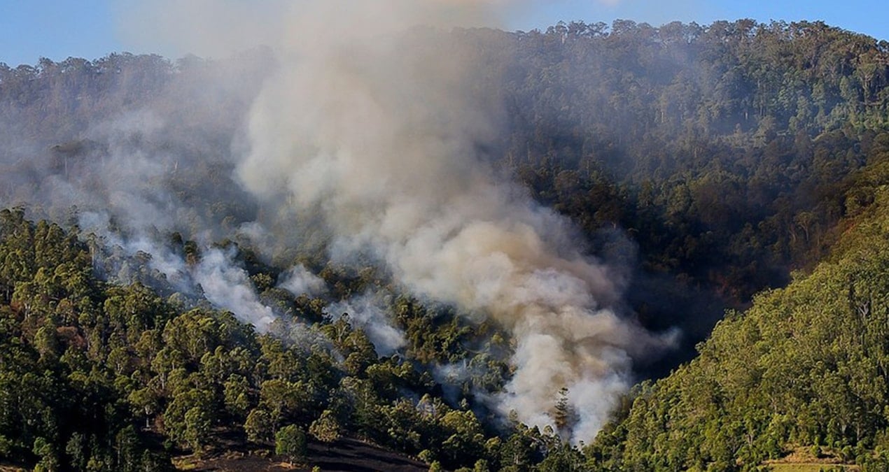 İklim değişikliği Avustralya’yı vurdu: 50’den fazla orman yangını