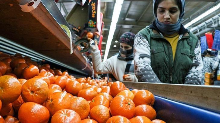Narenciye ihracatı 2025'te Türkiye'ye 1 milyar 477 milyon 58 bin dolar kazandırdı