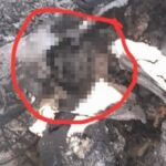 irandan-dusurulen-ucakta-abd-askerine-ait-vucut-parcasi-bulundugu-iddiasi-cpu3fumF