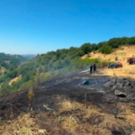 Bursada aniz yangini ormana sicradi 9fwIRena