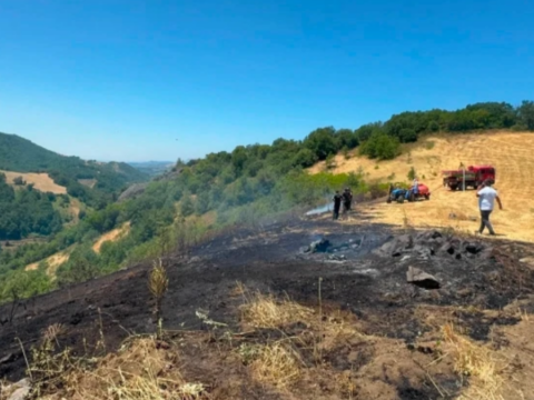 Bursada aniz yangini ormana sicradi 9fwIRena