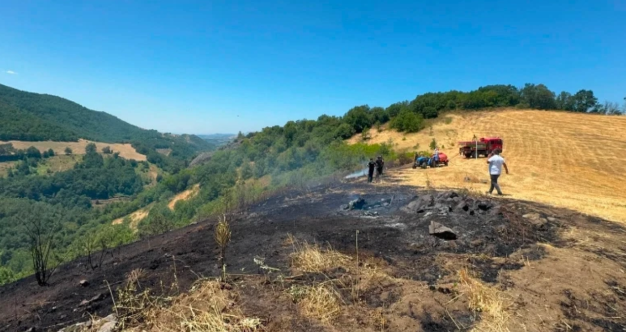 Bursada aniz yangini ormana sicradi 9fwIRena