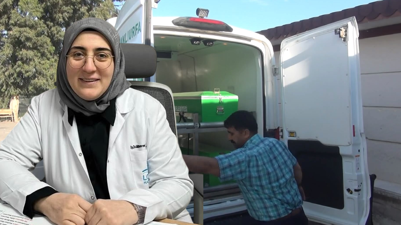 Dogum sonrasi fenalasip olmustu tutuklanan doktor tahliye edildi bIE5dQTg
